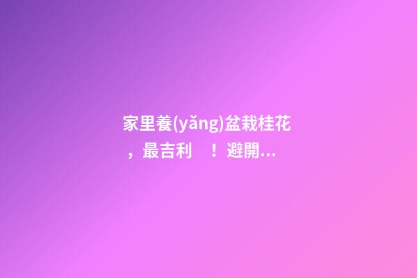 家里養(yǎng)盆栽桂花，最吉利！避開(kāi)4個(gè)坑，不干尖不黃葉，四季飄香